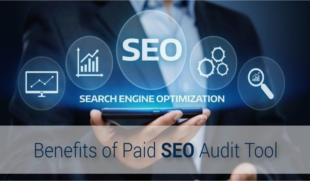 benefits of paid seo audit tools